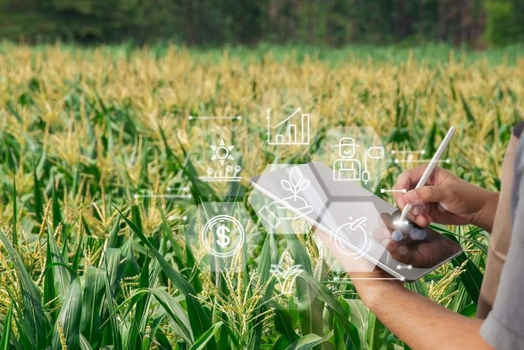 Bioenergía y sistemas de gestión: una palanca para el crecimiento sostenible del agro en&nbsp;México